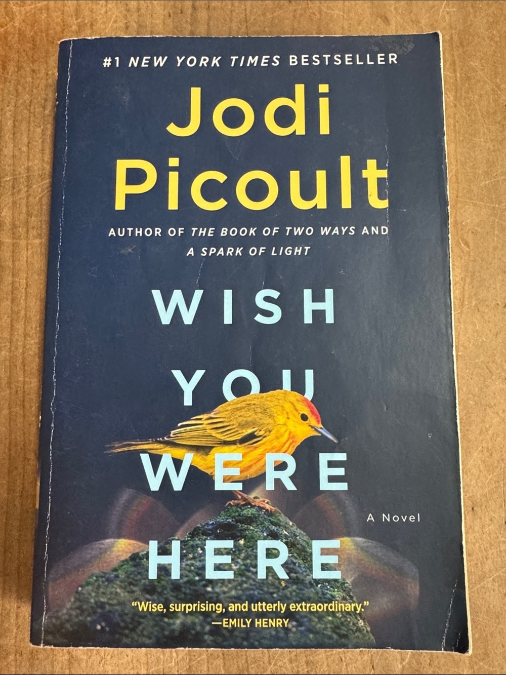 Jodi Picoult Wish You Were Here softcover